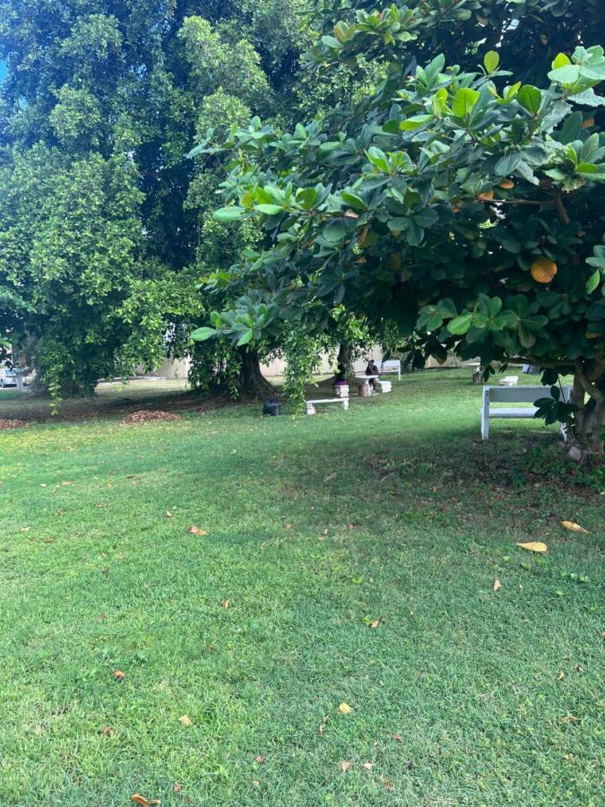 Comfort Rest Ocho Rios Exterior foto
